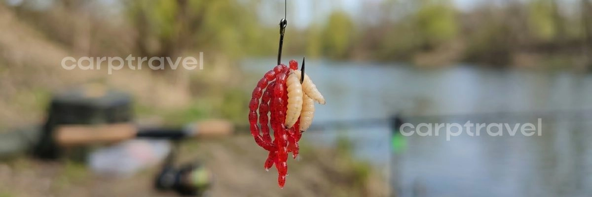 Классический весенний бутерброд — мотыль с опарышем Классический весенний бутерброд — мотыль с опарышем