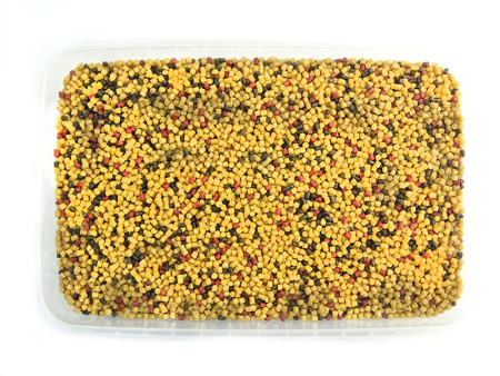 DSC06096