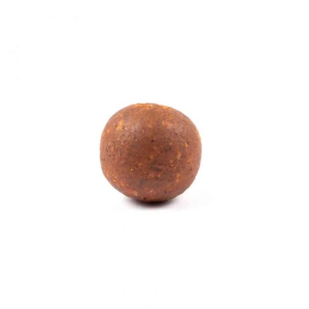 HB0009_2
