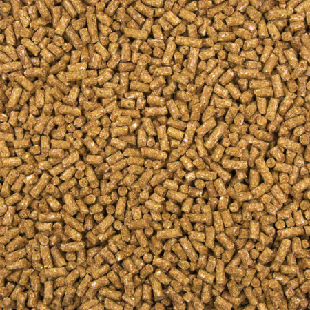 1304_1