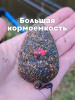 Набор неоснащенных кормушек 4 шт+ топтушка  Tackle Fish Wide XL Flat Method 100г