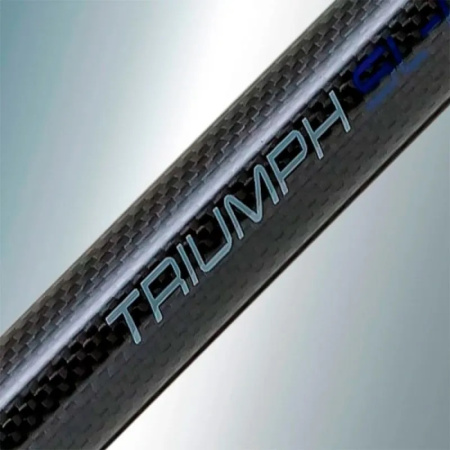 Sportex Triumph Carp 13ft 1