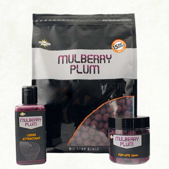 Mulberry-Plum-Group-Shot-1000x1000